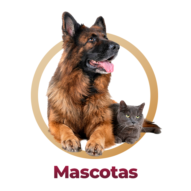 Mascotas